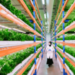 Emirates Bustanica Vertical Farm
